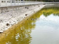 -北宫国家森林公园