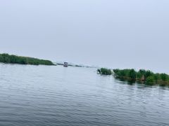 -白洋淀风景区