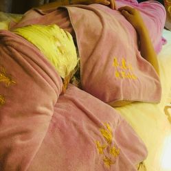 -本真坊美容美体沙龙