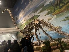 -自贡恐龙博物馆