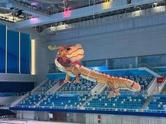-水立方嬉水乐园
