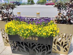 -南昌之星摩天轮