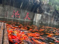 -千岛湖东南湖区