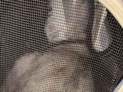 -顺强宠物诊所·狂犬免疫·夜诊·骨科(嘉定店)