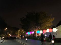 -欢乐海岸水秀剧场