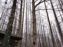 -南京金牛湖风景区