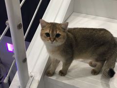-极木²邸 人与宠物·互动社区