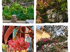 -苏州冶园园林民宿(太湖西山风景区店)