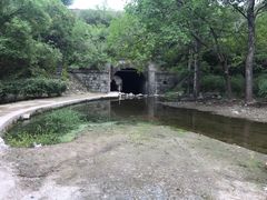 -白水寺森林公园