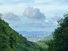 -马峦山郊野公园