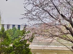 -元大都城垣遗址公园