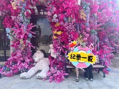 -荷兰花海