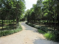 -禹州森林植物园