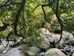 -藏龙百瀑风景区