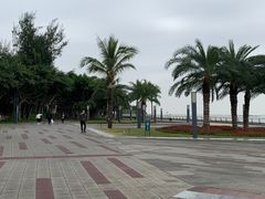 -野狸岛