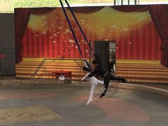 -石家庄市动物园