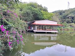 -桃园美食(水库路店)