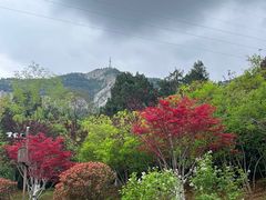-佛慧山
