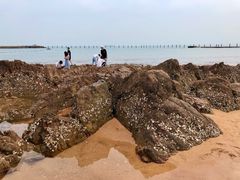 -青岛第二海水浴场