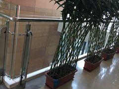 -首都医科大学附属北京潞河医院