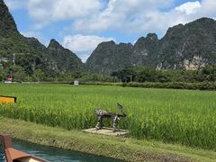 -明仕田园