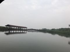 -太湖湖滨国家湿地公园-停车场