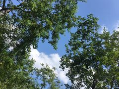 -同济大学(嘉定校区)