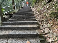 -韬光茶庵