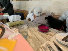 -the rug 飞毯 (朝阳公园店)