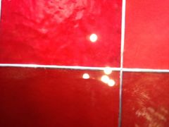 -L'ATELIER de Joel Robuchon(外滩18号店)