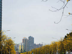 -洲头咀公园