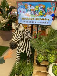 -卡通尼·Safari非洲探索乐园·生日会(金桥国际商业广场店)