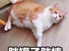-党公糖水铺(鹭江店)