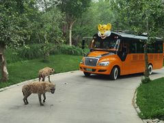 -北京野生动物园