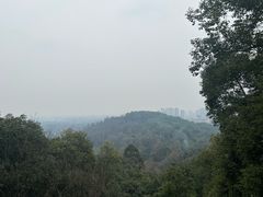 -成都老君山