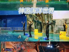 -威海华夏城景区