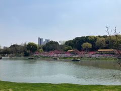 -圩墩遗址公园
