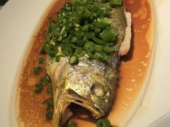 -许家菜.艺创菜(仁和新城店)