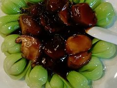 -泰丰楼(前门西大街店)