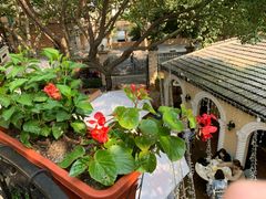 -玫瑰厅上海菜(兴国路店)