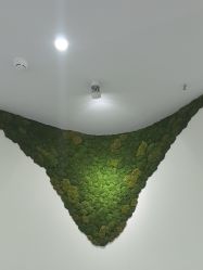 -AIST爱思特医疗美容医院