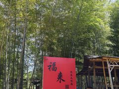 -宁波浙东大竹海景区