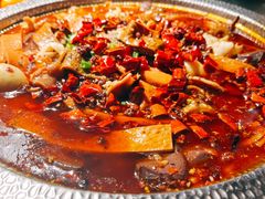 -甦杏鸡毛店(营门口店)