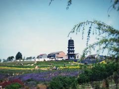 -白鹿原影视城