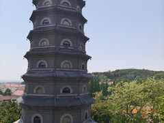 -吕氏焗小鲜•海鲜青岛菜(总店)