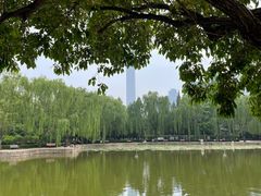 -团结湖公园