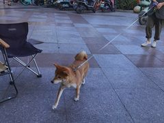 -SPARROW 家雀儿咖啡本店