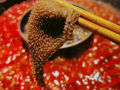 精品千层肚-蜀大侠火锅(寰球文化地标·总府店)