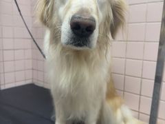 -FAELING PETS美天灵宠物(富力广场店)