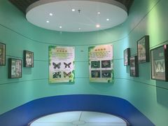 -上海昆虫博物馆